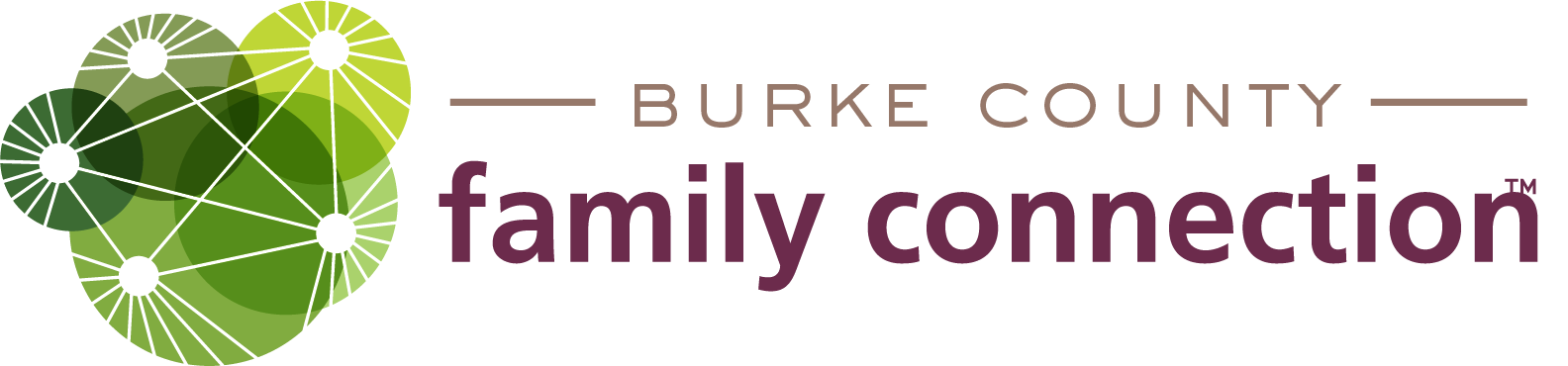 Burke County – GAFCP logo
